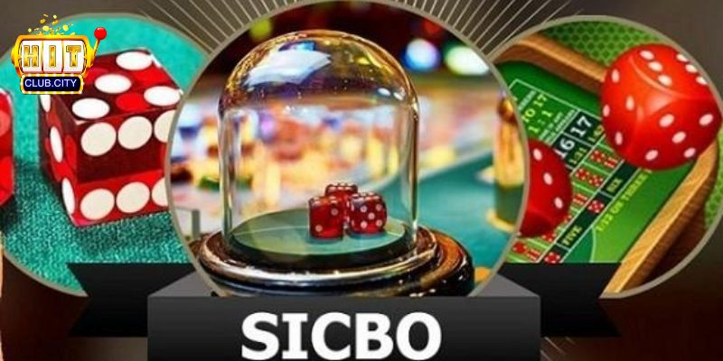 Sicbo Là Gì? Nguồn Gốc Và Sự Hấp Dẫn Của Trò Chơi Này